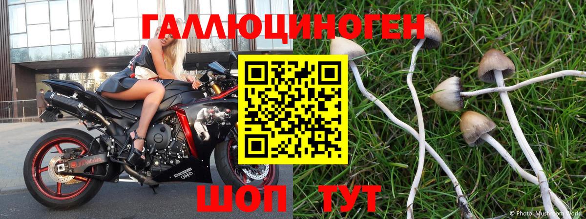 Псилоцибиновые грибы мухоморы Новоуральск