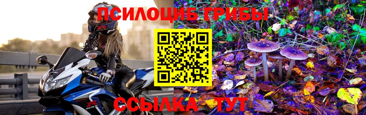 Новоуральск  Галлюциногенные грибы Psilocybe  где купить   Галлюциногенные грибы мицелий  Вход с VPN 